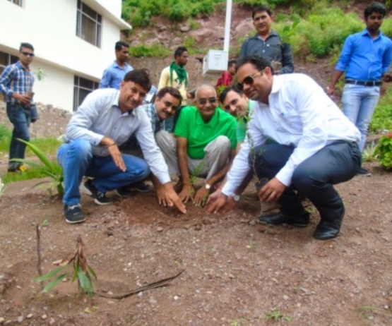 Manav Bharti University- tree plantation